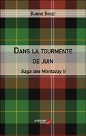 Dans la tourmente de juin, Saga des Montazay II