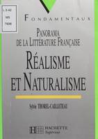 Réalisme et Naturalisme, Panorama de la littérature française