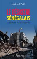 Le désastre sénégalais, A l'ombre des décombres