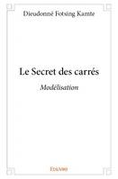 Le Secret des carrés, Modélisation