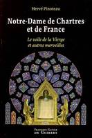 Notre-Dame de Chartres et de France, Le voile de la Vierge et autres merveilles