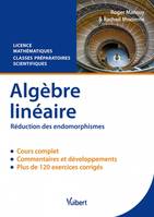 Algèbre linéaire, Réduction des endomorphismes