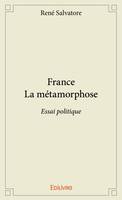 France la métamorphose, Essai politique