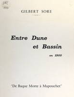 Entre dune et bassin en 1900, De Baque Morte à Mapouchet