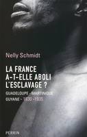 La France a-t-elle aboli l'esclavage ? Guadeloupe-Martinique-Guyane, 1830-1935