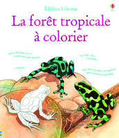 Faune et flore de la fôret tropicale à colorier