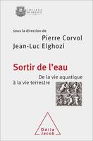 Sortir de l'eau, De la vie aquatique à la vie terrestre