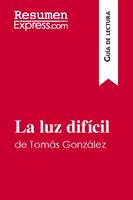 La luz difícil de Tomás González (Guía de lectura), Resumen y análisis completo