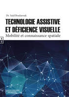 Technologie assistive et déficience visuelle, Mobilité et connaissance spatiale