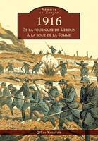 1916 - De la fournaise de Verdun à la boue de la Somme