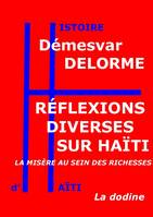 Réflexions diverses sur Haïti, La misère au sein des richesses