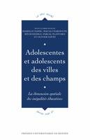 Adolescentes et adolescents des villes et des champs, La dimension spatiale des inégalités éducatives