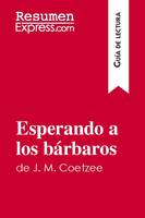 Esperando a los bárbaros de J. M. Coetzee (Guía de lectura), Resumen y análisis completo