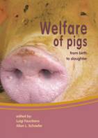 Welfare of pigs, From Birth to Slaughter