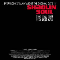 Shaolin Soul 1