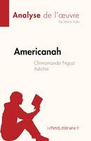 Americanah, de Chimamanda Ngozi Adichie