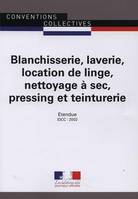 blanchisserie, laverie, location de linge, nettoyage a sec, pressing et teinture, CCN 3074