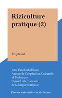 Riziculture pratique (2), Riz pluvial