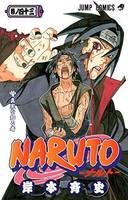 43, NARUTO 43 (MANGA VO JAPONAIS)