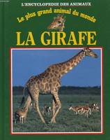 LE PLUS GRAND ANIMAL DU MONDE: LA GIRAFLE, le plus grand animal du monde