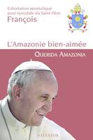 L'Amazonie bien aimée, Exhortation apostolique post-synodale du Saint-Père François