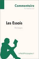 Les Essais de Montaigne (Commentaire), Comprendre la philosophie avec lePetitPhilosophe.fr