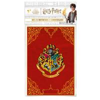 Harry Potter - Mes 12 invitations d'anniversaire