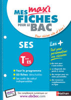 Mes maxi fiches ABC SES Terminale ES N14