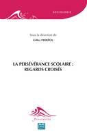 La persévérance scolaire, Regards croisés