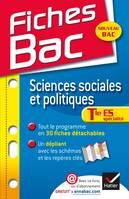 Sciences sociales et politiques Terminale ES, Fiches de cours - Terminale ES