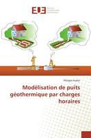 Modélisation de puits géothermique par charges horaires