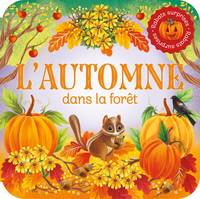 Rabats surprises   L'automne dans la forêt