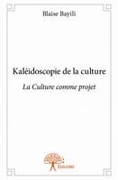 Kaléidoscopie de la culture, La Culture comme projet