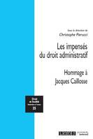 Les impensés du droit administratif, Hommage à jacques caillosse