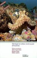 Le poulpe. Ooctopus vulgaris., Sénégal et côtes nord-ouest africaines.