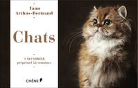 Calendrier 52 semaines Chats