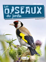 P'tit curieux, Les oiseaux du jardin