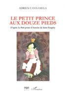 Le petit prince aux douze pieds, D'après 