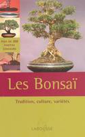 BONSAI (LES)