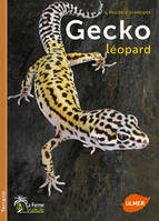 Gecko léopard