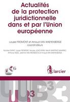 Actualités de la protection juridictionnelle dans et par l'Union européenne, L'ouvrage analyse, à destination des praticiens, les dernières évolutions de ce principe pluriel dans et par l’Union européenne.