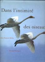 Dans l'intimité des oiseaux