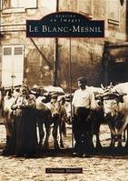 Blanc-Mesnil (Le)