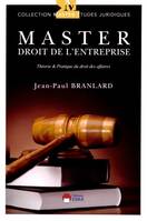 Master droit de l'entreprise, Théorie et pratique du droit des affaires