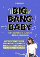 Big Bang Baby : fatigue, héritages familiaux, conditionnements..., Comprendre et surmonter ce que vous ressentez quand l'arrivée de bébé rebat toutes les cartes dans vos relations