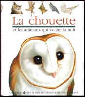 La chouette et les oiseaux qui volent la nuit