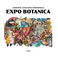 EXPO BOTANICA