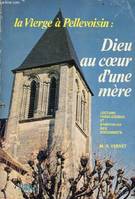 Dieu au coeur d'une mère / la Vierge à Pellevoisin, la miséricorde et la gloire, la miséricorde et la gloire de Dieu au cœur d'une mère, lecture théologique et spirituelle des documents