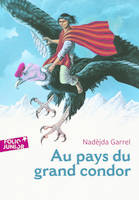 Au pays du grand condor