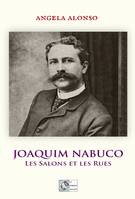 Joaquim Nabuco, Les salons et les rues